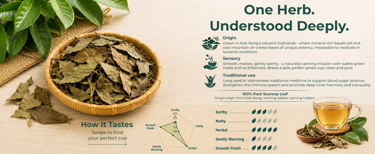 soursop desktop 3